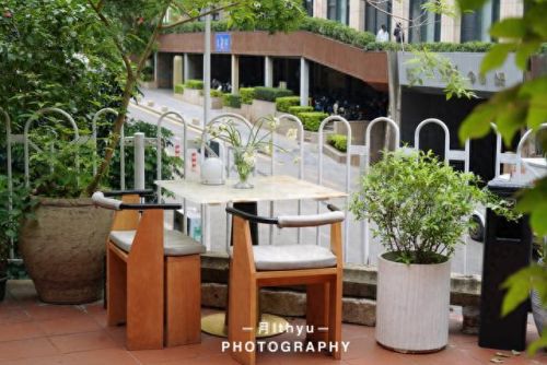 中华城十大美食排行榜第一(十大高档美食排行榜)插图3