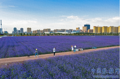 全国彩虹城市排名前十(彩虹城市)插图32