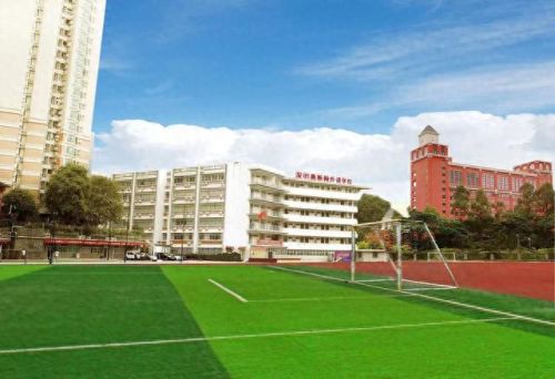 深圳排名前十的寄宿(深圳小学寄宿哪个好)插图2