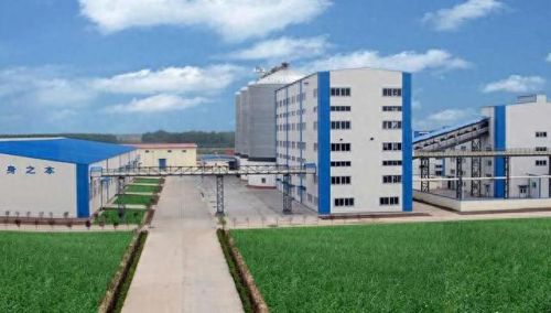 邹城平台公司排名前十(邹城家政公司排名)插图92 邹城平台公司排名前十(邹城家政公司排名)插图92