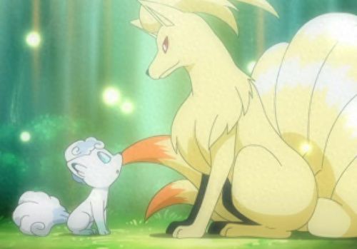 冷门宝石宠物排名前十(冷门宠物推荐便宜小型)