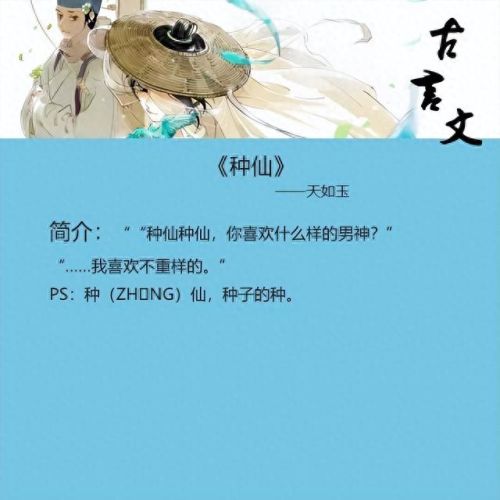 言情古文小说排名前十(古文小说言情完结)