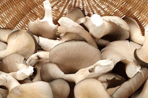 十大含硒的食物排行榜最新(含硒的食物十大排行表)