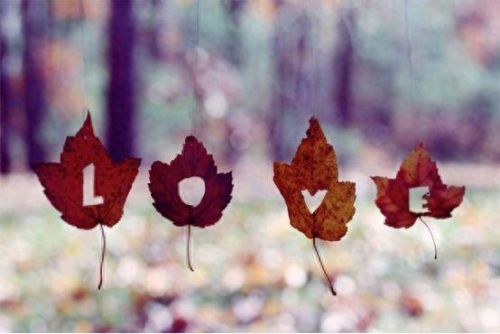 广州婚恋网站排名前十(迈优婚恋网站怎么样)