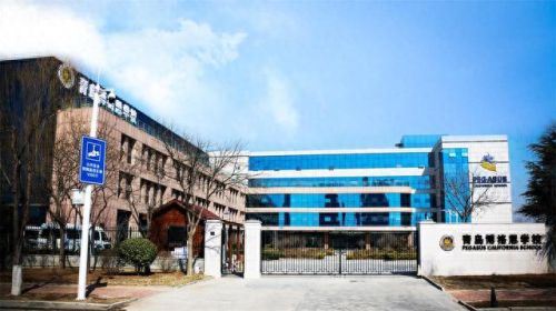 青岛英语技校排名前十(青岛十大垃圾技校)插图