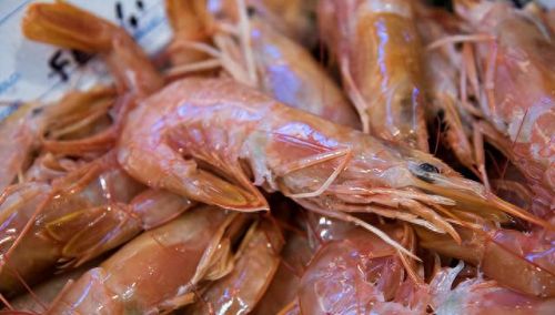 十大不宜吃的动物排行榜(十大禁忌吃的动物)插图5