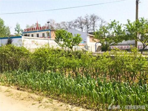 荥阳最美水库排名前十(荥阳水库图片)插图8 荥阳最美水库排名前十(荥阳水库图片)插图8