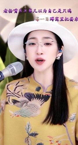 十大网红歌曲翻唱排行榜(翻唱林子祥歌的网红)