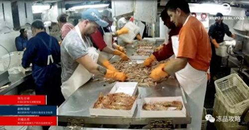 冻品虾十大品牌排行榜图片(冻品虾)插图1 冻品虾十大品牌排行榜图片(冻品虾)插图1