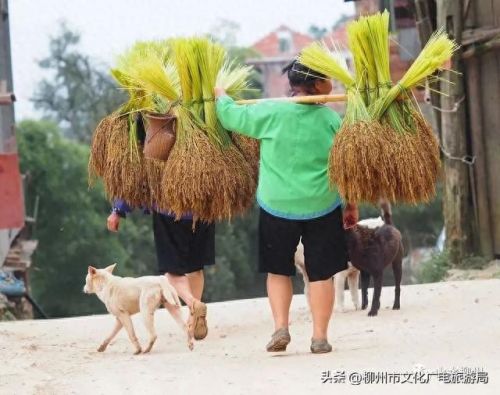 柳州十大摄影师排行榜图片(柳州全家福摄影前十名)插图21