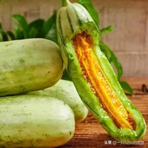 甜瓜品种十大排行榜图片(500个瓜图片)插图2