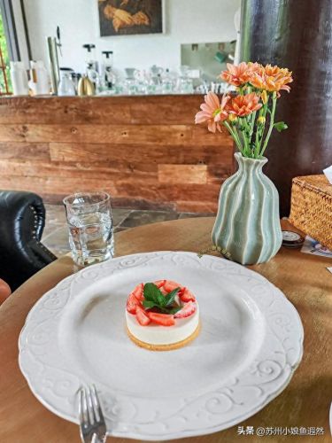 苏州十大网红咖啡排行榜(苏州十大网红打卡地)插图2