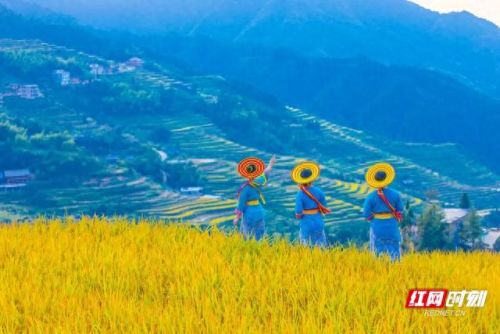 沅江订婚酒店排名前十(呼市订婚酒店排名)插图19