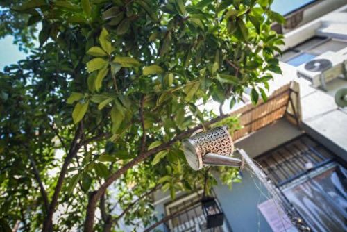 临沂十大面条店排行榜图片(临沂面条)插图7