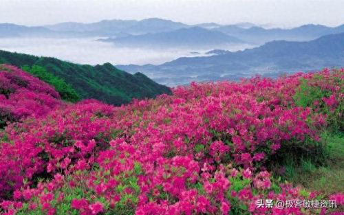 印度最美山峰排名前十(广西最美的山峰排名)插图5