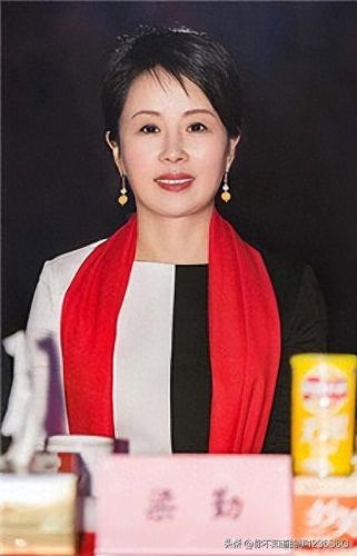 徐州十大有钱人排行榜(徐州十大首富)插图9