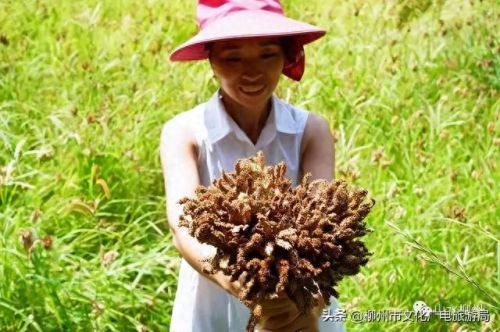 柳州十大摄影师排行榜图片(柳州全家福摄影前十名)插图13