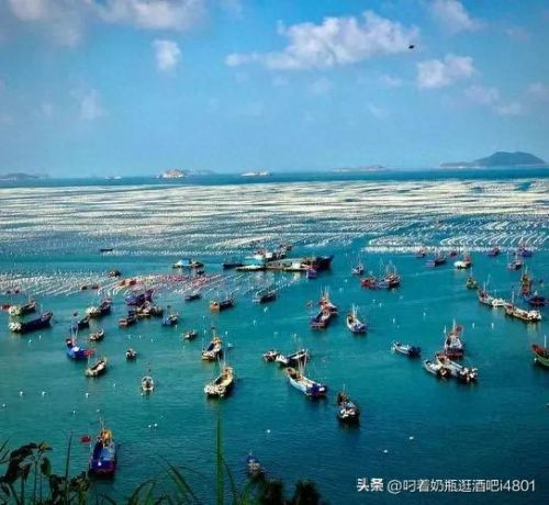 滨海最美地方排名前十(滨海最好小区排名)插图30 滨海最美地方排名前十(滨海最好小区排名)插图30