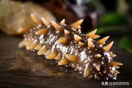 最长寿的十大食物排行榜(三种人最长寿)插图8