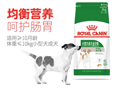 十大最友好的狗排行榜国产(十大最便宜的狗排名榜)插图10