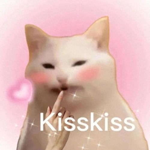 口红排名前十的价位(十大公认最好口红)插图1 口红排名前十的价位(十大公认最好口红)插图1