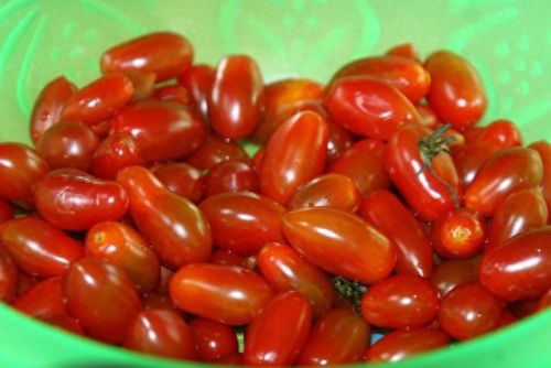 香坊区生态农场排名前十(成都生态农场排行榜)插图31 香坊区生态农场排名前十(成都生态农场排行榜)插图31