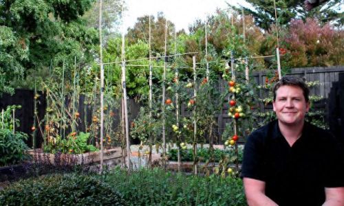 奥克兰最佳餐馆排名前十(奥克兰餐厅排行榜)插图6 奥克兰最佳餐馆排名前十(奥克兰餐厅排行榜)插图6