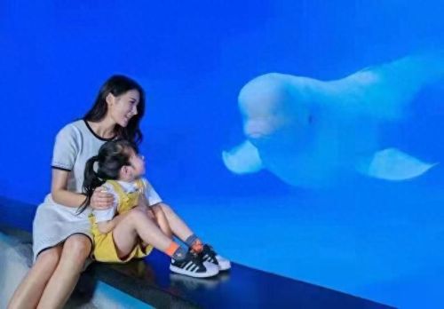 广州亲子乐园十大排行榜(广州融创乐园门票价目表)插图4