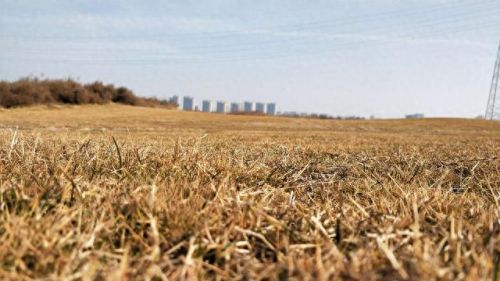 西安遛狗公司排名前十(西安遛狗事件最新消息)插图6 西安遛狗公司排名前十(西安遛狗事件最新消息)插图6