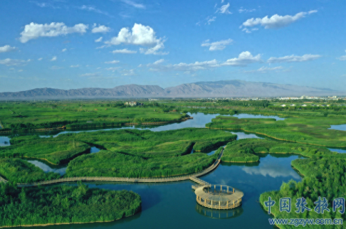 全国彩虹城市排名前十(彩虹城市)插图20