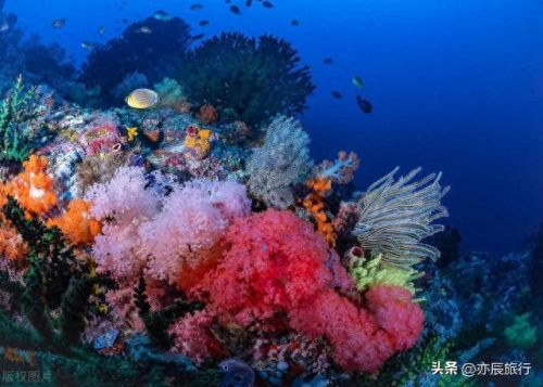 湖北十大旅游景点排行榜最新(湖北旅游景点有哪些)插图13