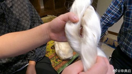 伊朗蚕丝产量排名前十(蚕丝最贵的品种)插图13