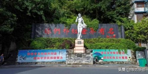 茶经排名前十的茶(十三种满分好茶)插图44 茶经排名前十的茶(十三种满分好茶)插图44