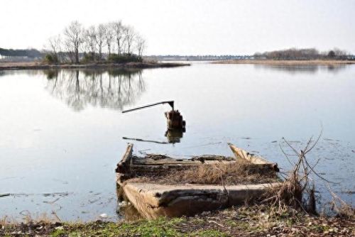 常州亲子游十大排行榜(常州十大免费景点)
