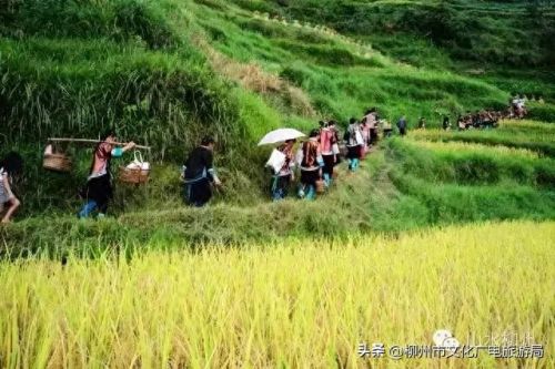 柳州十大摄影师排行榜图片(柳州全家福摄影前十名)插图10