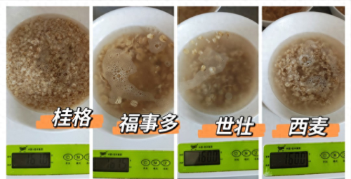 国产即食麦片十大排行榜(十大口碑最好的麦片)插图5 国产即食麦片十大排行榜(十大口碑最好的麦片)插图5