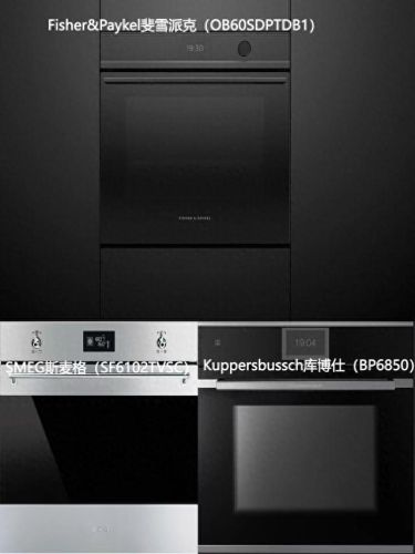 国际十大厨电品牌排行榜(公认的十大厨电品牌)