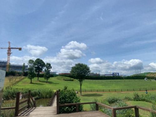 浙江十大牛场排行榜图片(哪个地方的牛场最好)