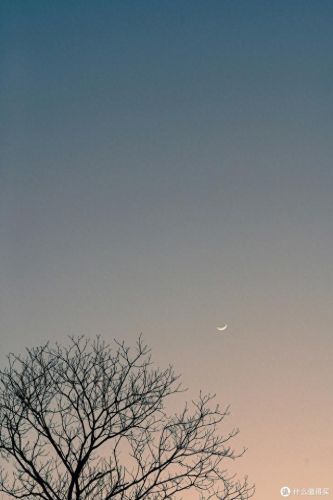 全画幅相机十大排行榜(十款最好全画幅相机)插图2