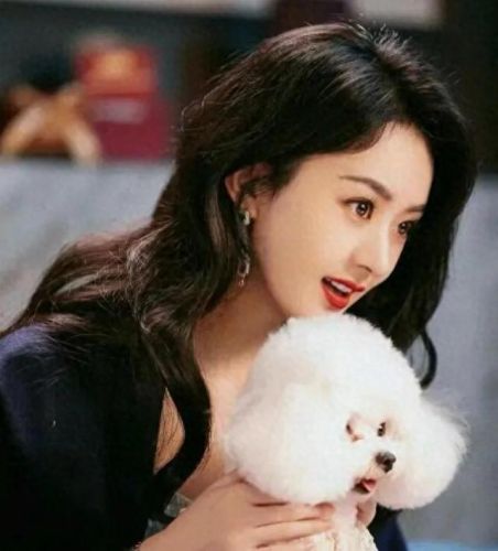 十大中国明星美女排行榜(中国十大落魄明星)