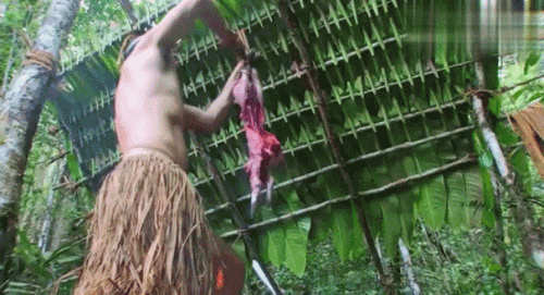 十大野外求生大神排行榜(中国有哪些野外求生专家)插图1