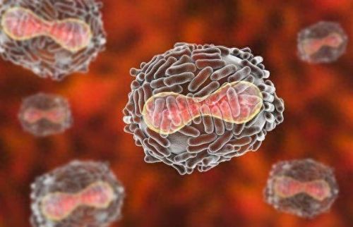 世界上的十大疾病排行榜(中年人常见的十大疾病)插图4 世界上的十大疾病排行榜(中年人常见的十大疾病)插图4