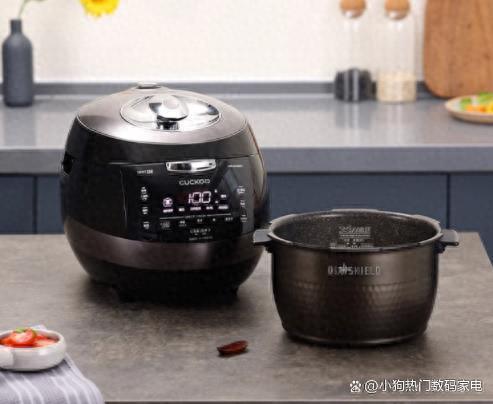 中国电压锅十大品牌排行榜(什么牌子的电压锅煮饭好吃)插图7 中国电压锅十大品牌排行榜(什么牌子的电压锅煮饭好吃)插图7
