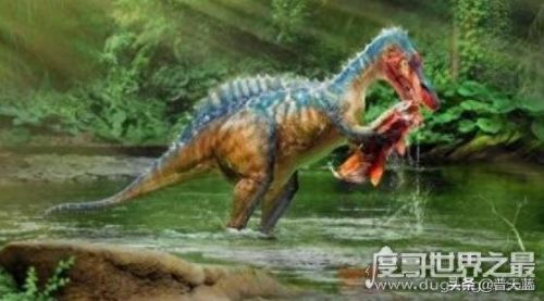 恐龙十大排行榜谁最大(恐龙排名到底谁最强)