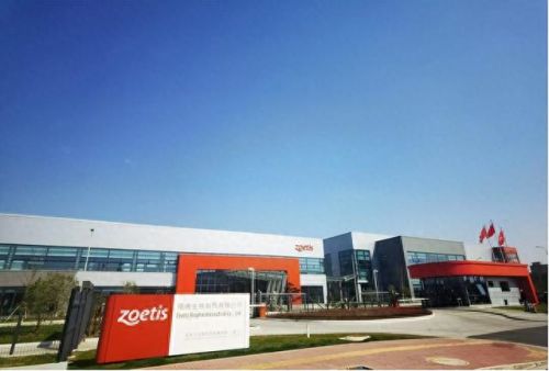 畜牧兽医公司排名前十(畜牧跟兽医哪个就业好)插图1 畜牧兽医公司排名前十(畜牧跟兽医哪个就业好)插图1