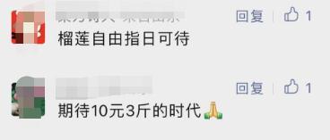 山西榴莲品种排名前十(山西主播榴莲)