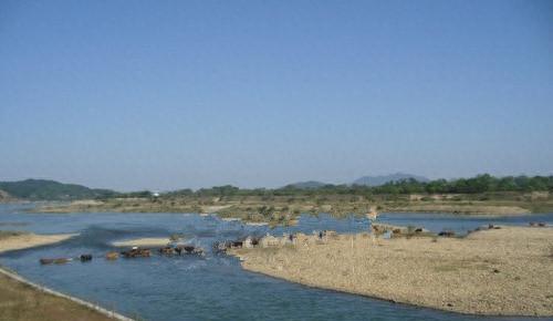 江北旅游村庄排名前十(宁波江北洪塘最大的村庄)插图33 江北旅游村庄排名前十(宁波江北洪塘最大的村庄)插图33