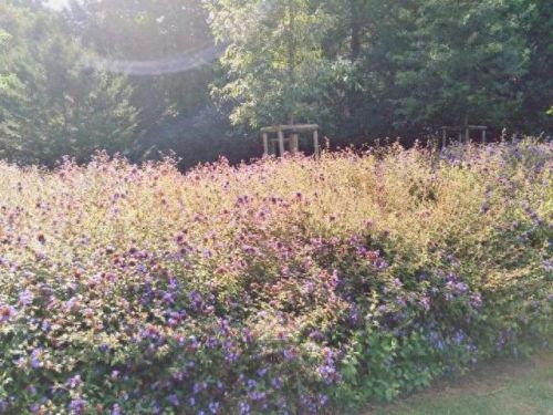 巴黎野餐地方排名前十(巴黎十大景点排名)插图 巴黎野餐地方排名前十(巴黎十大景点排名)插图