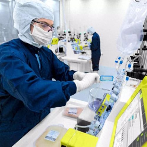 细胞实验公司排名前十(细胞实验有哪些)插图6 细胞实验公司排名前十(细胞实验有哪些)插图6