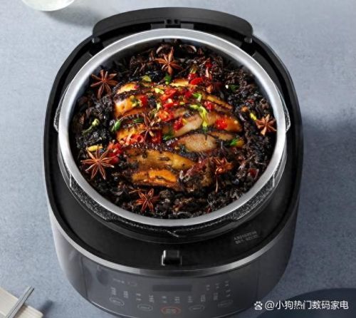 中国电压锅十大品牌排行榜(什么牌子的电压锅煮饭好吃)插图2 中国电压锅十大品牌排行榜(什么牌子的电压锅煮饭好吃)插图2